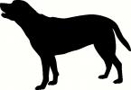 Dog (3) vinyl decal